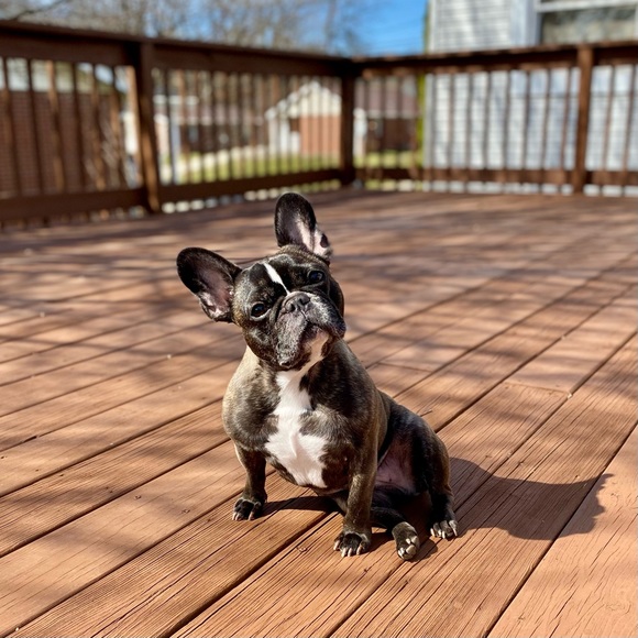 💕 Meet your seller/buyer 💕 - Picture 1 of 2